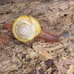 Tryon Creek Eco-tour With a Master Naturalist - Why This Tour Is Worth Your Time