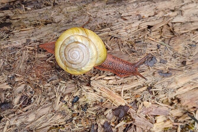 Tryon Creek Eco-tour With a Master Naturalist - Why This Tour Is Worth Your Time