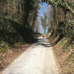 Tuheljske Toplice: Do Spomenika hrvatskoj majci pjeaenjem - Practical Details and Value