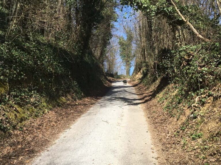 Tuheljske Toplice: Do Spomenika hrvatskoj majci pjeaenjem - Practical Details and Value