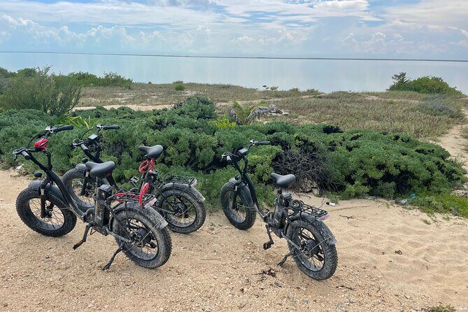 Tulum Area Experiences E-Bike Daily Rental - Who Will Love This Experience?