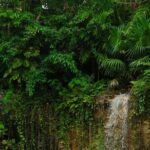 Tulum Essence Art and Photography Tour - What the Tour Offers in Terms of Value