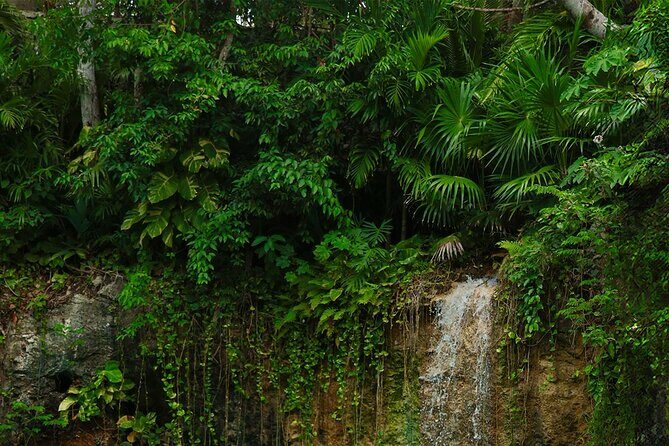 Tulum Essence Art and Photography Tour - What the Tour Offers in Terms of Value