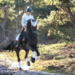 Tulum Jungle Horseback Ride + ATV + Ziplines + Cenote Combo Tour - How Value Comes Into Play