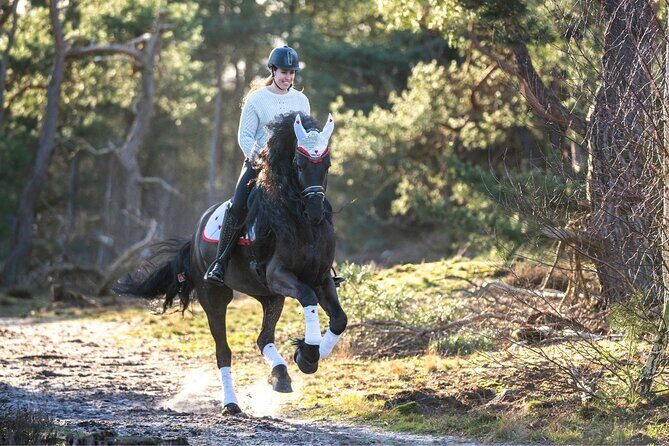 Tulum Jungle Horseback Ride + ATV + Ziplines + Cenote Combo Tour - How Value Comes Into Play