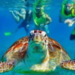 Tulum Mayan Ruins and Snorkeling with Turtles at Akumal - Who Should Consider This Tour?