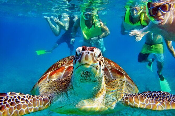 Tulum Mayan Ruins and Snorkeling with Turtles at Akumal - Who Should Consider This Tour?