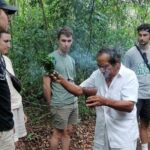 Tulum Monkey Sanctuary Tour Punta Laguna - The Itinerary in Detail