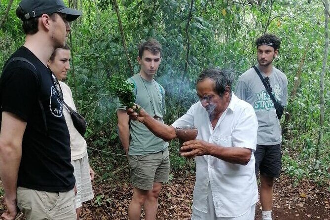 Tulum Monkey Sanctuary Tour Punta Laguna - The Itinerary in Detail