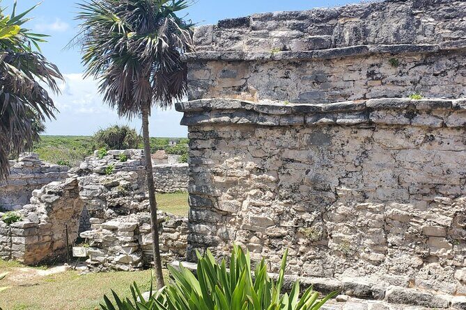 Tulum Ruins Scooter/ATV/E-Bike Tour, Snorkel/Swim/Paddle board Cenote + Lunch - Discovering Tulum by Land and Sea
