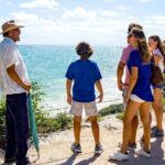 Tulum Ruins & Snorkeling with Sea Turtles Private Tour - In-Depth Breakdown of the Itinerary