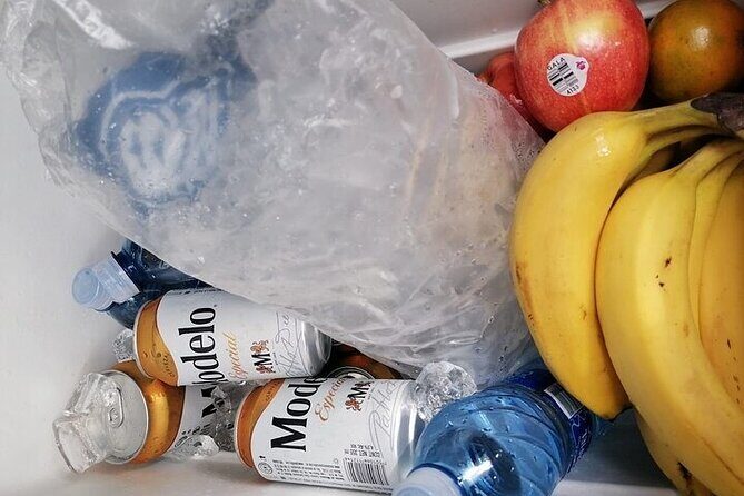 Tulum Transportation Service 24/7 The Most Reliable and safe. - Frequently Asked Questions