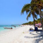 Turtle Adventure Express - The Sum Up: Is It Worth It?