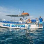 TURTLE BOAT TOUR - What We Love About This Tour