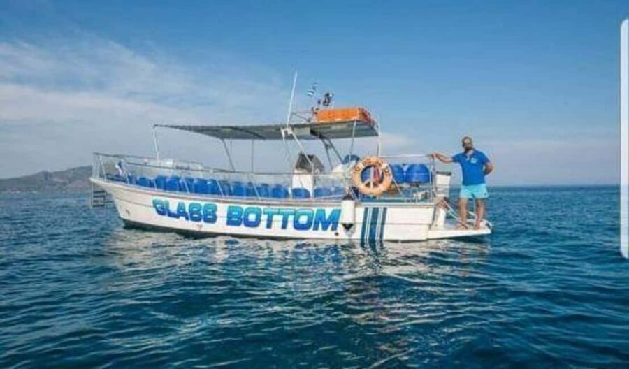 TURTLE BOAT TOUR - What We Love About This Tour