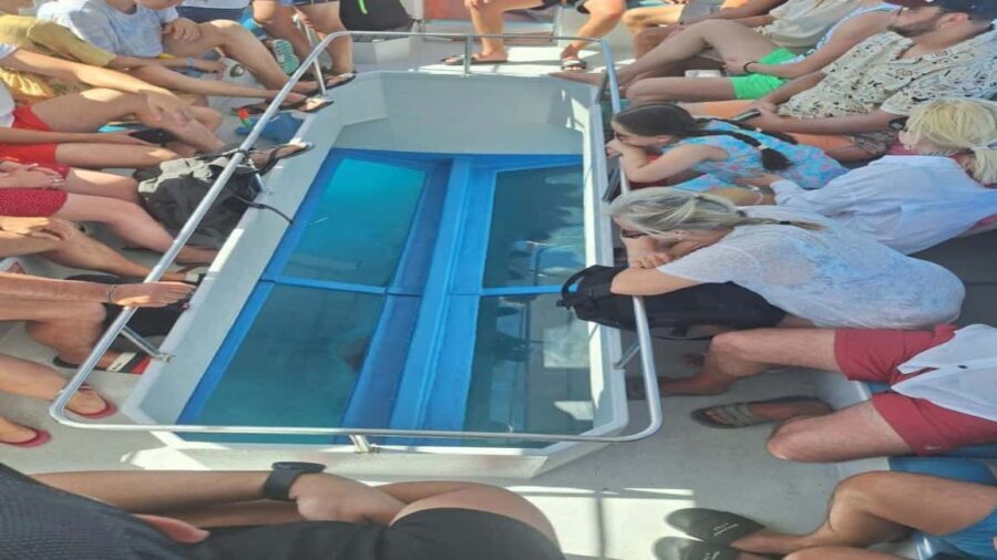 Turtle Cruise from 9 am or 12 noon or 3 pm for 3 hours - An In-Depth Look at the Turtle Cruise in Zakynthos