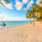 Turtle Swim, Lunch and Underground Cenote Private Tour - What’s Included and What’s Not