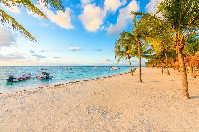 Turtle Swim, Lunch and Underground Cenote Private Tour - What’s Included and What’s Not