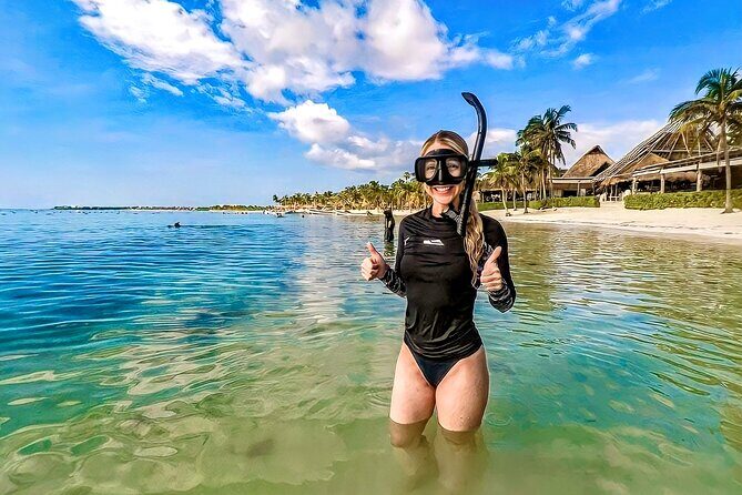 Turtles Encounter Akumal! Small group from Playa del Carmen - Insights from Guest Experiences