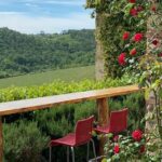 Tuscany Landscapes, Castels & Chianti Wine District - The Value of This Tour