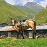 Tusheti Thrill: Limited-Time Mountain Escape 3 day tour - A Close Look at the 3-Day Itinerary
