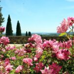 Two intensive days discover exceptional wines of the Rhône valley - Authenticity and Value: What Travelers Say