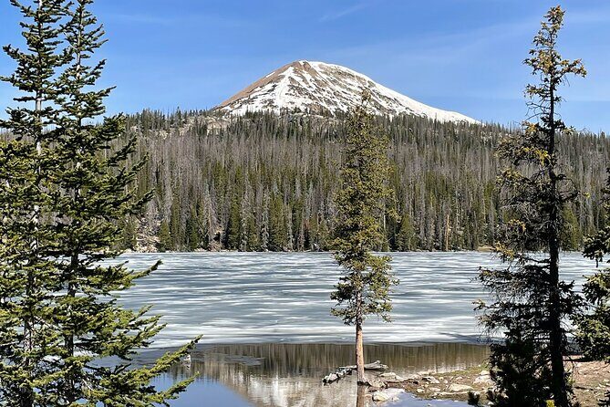 Uinta Mountains Birding and Nature Expedition - Who This Tour Is Best For