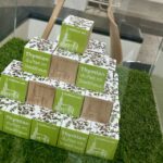 Ulm Card: 20+ attractions and optional public transportation - Who Should Consider the Ulm Card?