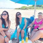 Ultimate Bay Tours -Private 25 Travelers- Trimaran Experience - Detailed Itinerary and Highlights