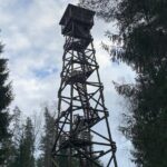 Ultimate Husky dog sledding experience in Latvia - Private tour from Riga - Who Is This Tour Best For?