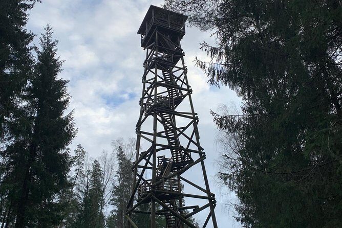 Ultimate Husky dog sledding experience in Latvia - Private tour from Riga - Who Is This Tour Best For?