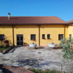 Umbria: guided tour to traditional oil mill + tasting - The Experience in Practice