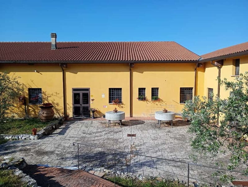 Umbria: guided tour to traditional oil mill + tasting - The Experience in Practice