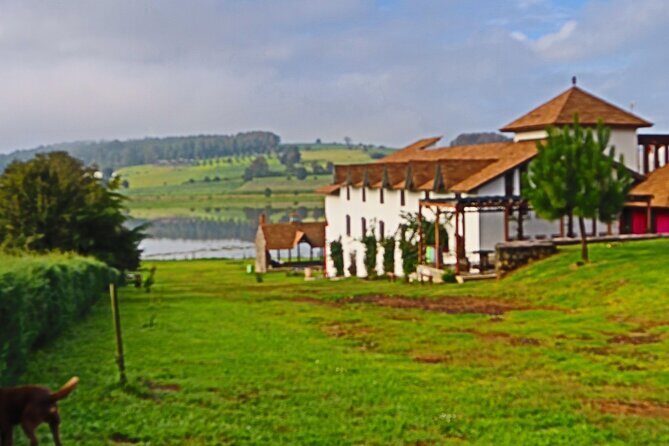 Umecuaro All Inclusive Tour and Guided Tours in Morelia - The Experience: What Travelers Can Expect