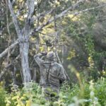 Uncharted Mayan Ruins - Who Should Consider This Tour?