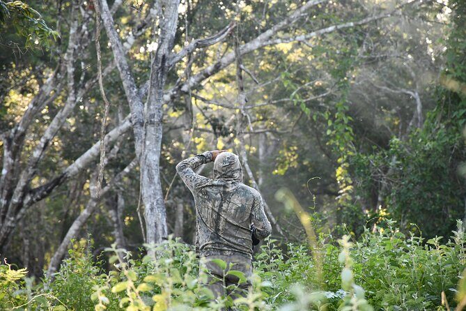 Uncharted Mayan Ruins - Who Should Consider This Tour?