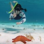 Underwater Snorkel Experience day in Cozumel with Transportation from Cancún - Final Thoughts: Who Is This Tour For?