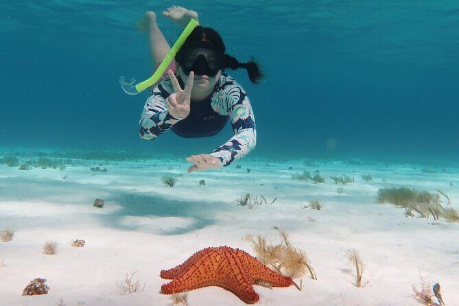 Underwater Snorkel Experience day in Cozumel with Transportation from Cancún - Final Thoughts: Who Is This Tour For?