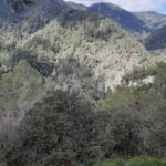 Unforgettable day on safari from Paphos to the Troodos mountains - Practical Details and Value