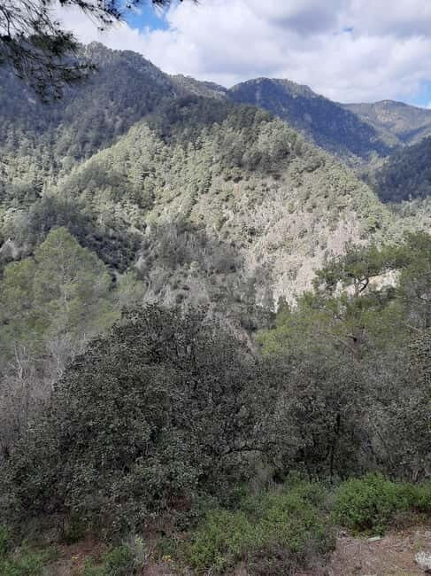 Unforgettable day on safari from Paphos to the Troodos mountains - Practical Details and Value