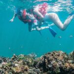 Unforgettable Snorkel Adventure in Cancun whit Transpotations - Why This Tour Offers Great Value