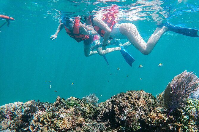 Unforgettable Snorkel Adventure in Cancun whit Transpotations - Why This Tour Offers Great Value