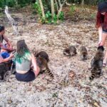 Unique 5 Hours-Boat Tour to Raccoon Island from Fort Lauderdale - The Sum Up: Is It Worth It?