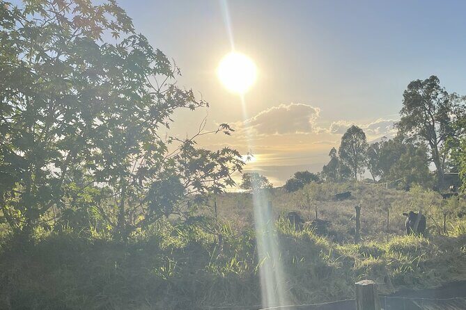 Upcountry Sunset Tour - Who is This Tour Best For?