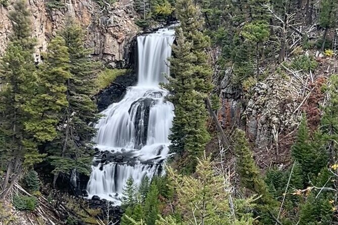 Upper Loop Lamar Wildlife Safari from Gardiner PRIVATE Lunch - Detailed Itinerary Breakdown