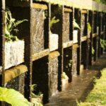 Uruapan Eco Tour with Breakfast - Final Thoughts