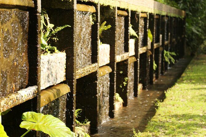 Uruapan Eco Tour with Breakfast - Final Thoughts  