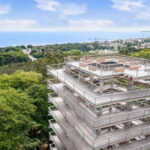 Usedom: Treetop Walk Adventure on Usedom Island - The Route & Experience