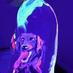 UV Body Painting Experience for Couples in Brooklyn - What Is the UV Body Painting Experience?