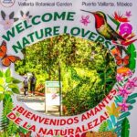 Vallarta Botanical Garden: Private Day Trip of Flora & Fauna - Authentic Experiences and Insider Tips